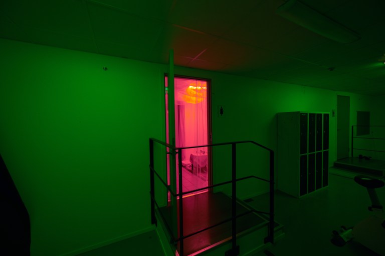 Det reella performance 3 red